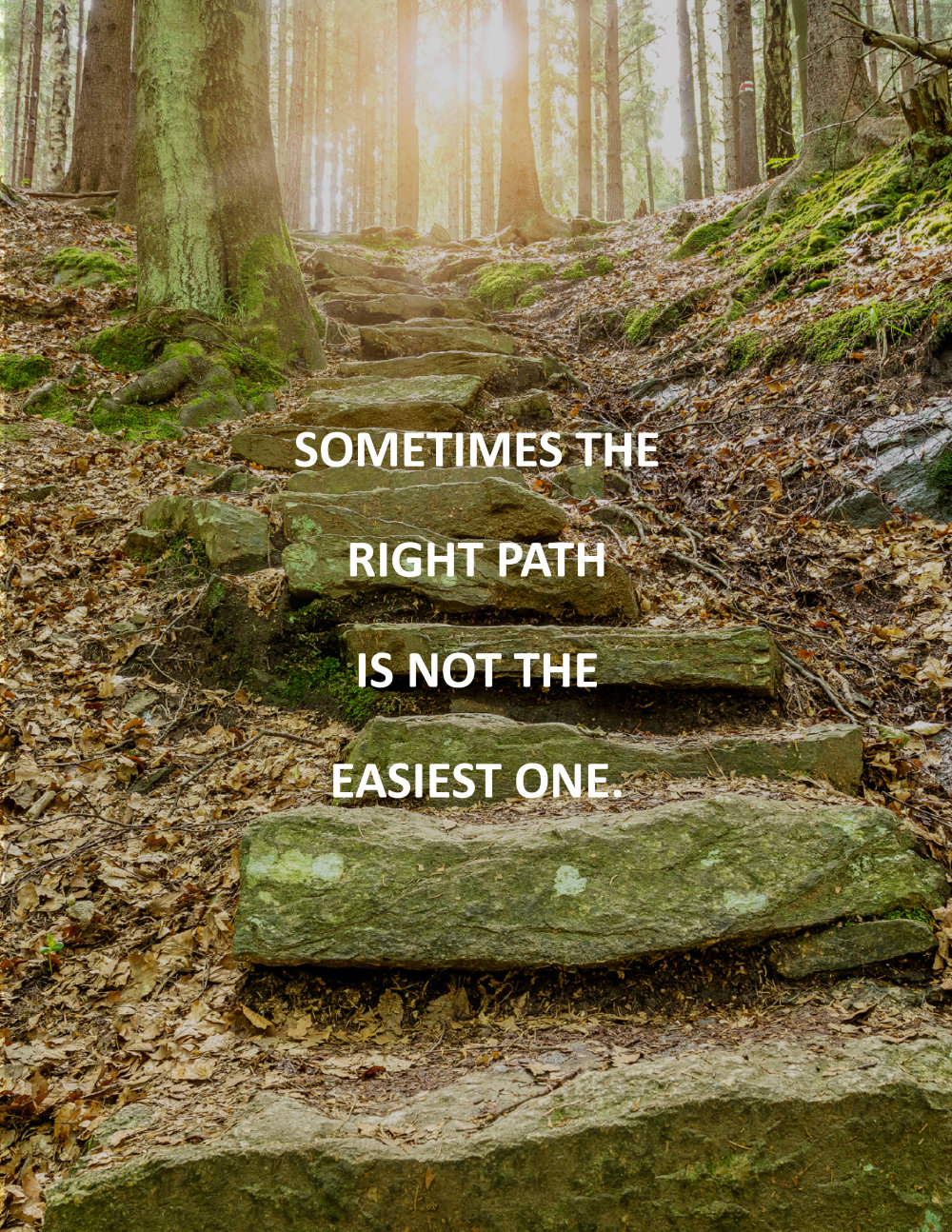 Creating A New Path Quotes